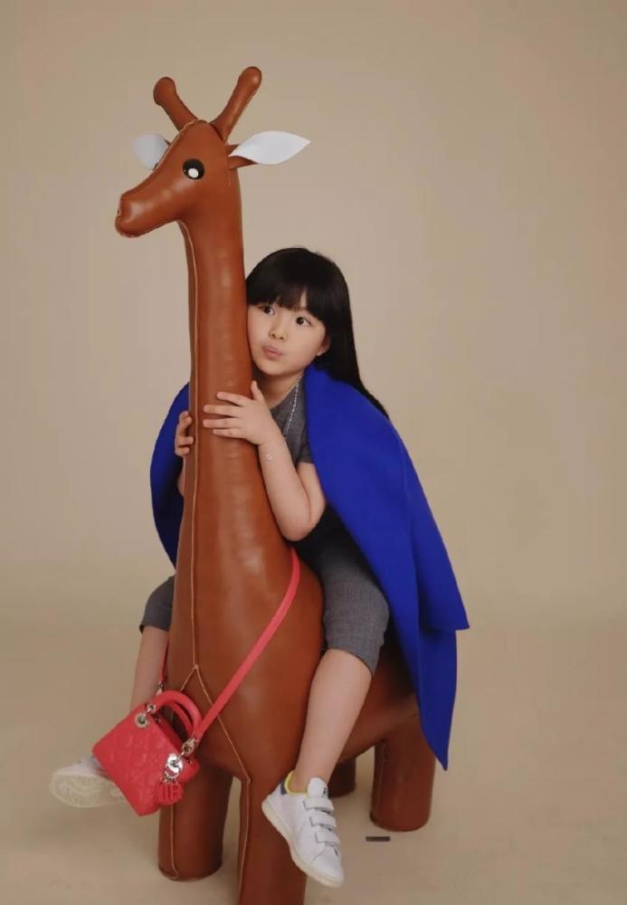 12岁王诗龄画进卢浮宫8岁画作价值12万背后有高人指点