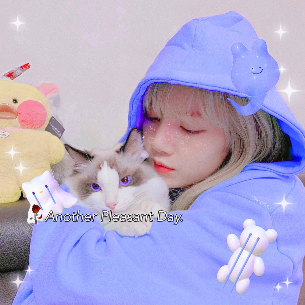 lisa神仙头像