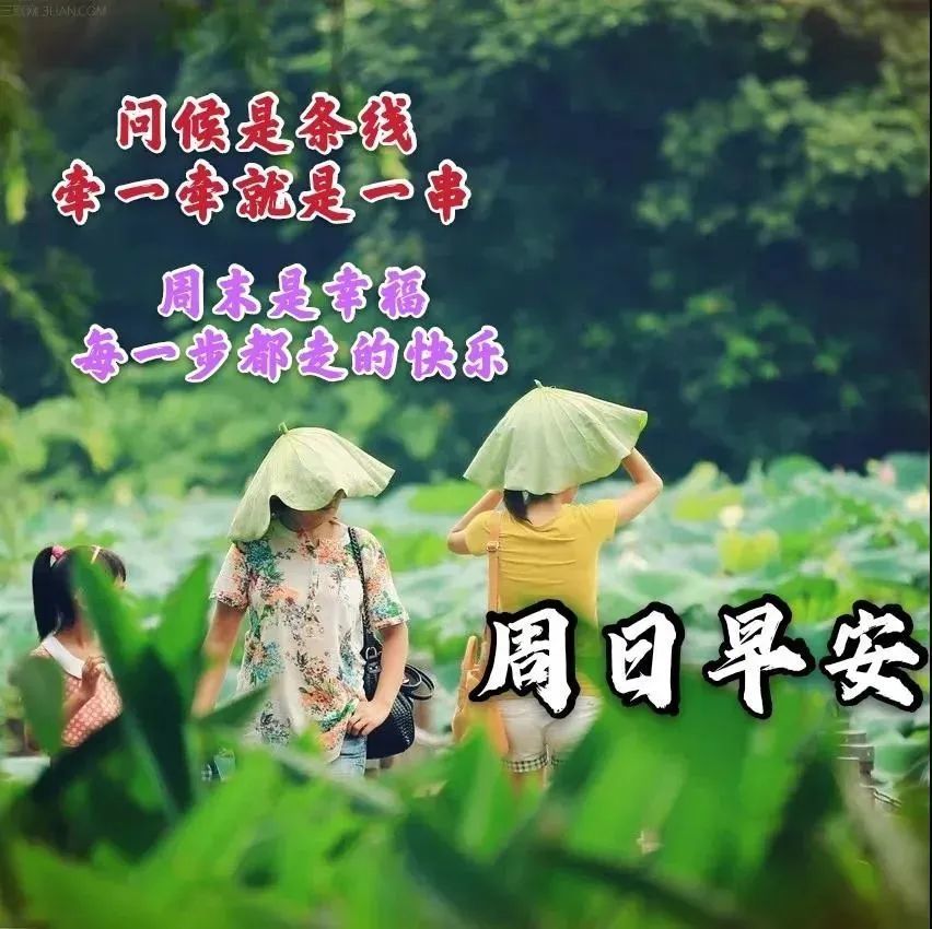 2022年5月15日周末唯美带字早安图农历四月十五早上好哲理祝福语