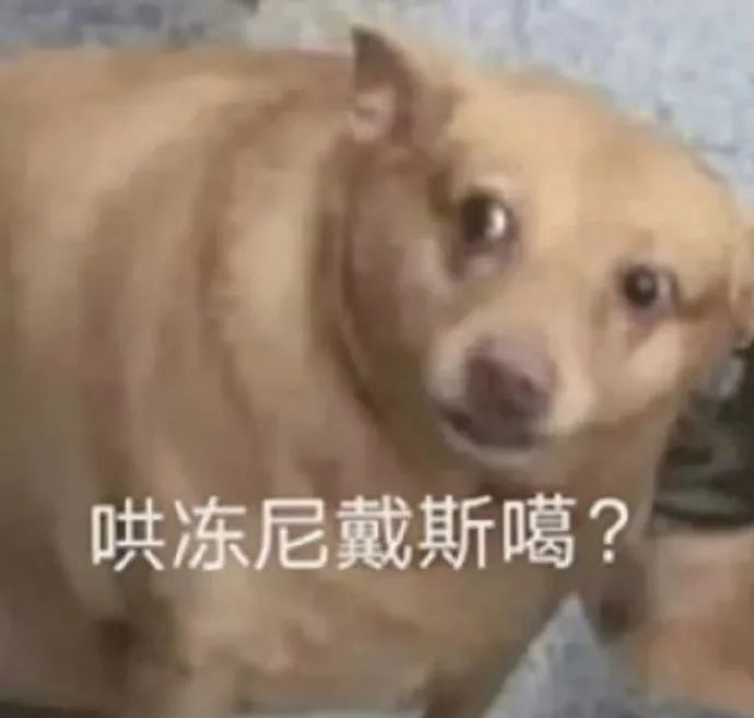 沙雕表情包麻烦理我一下不然我很尴尬