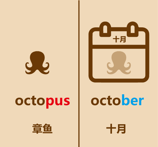 懒人英语简笔画octopus