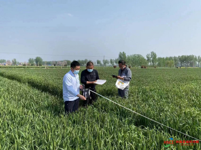 徐华新)连日来,在宁陵县张弓镇何楼村的防疫卡点,核酸检测现场,田间地