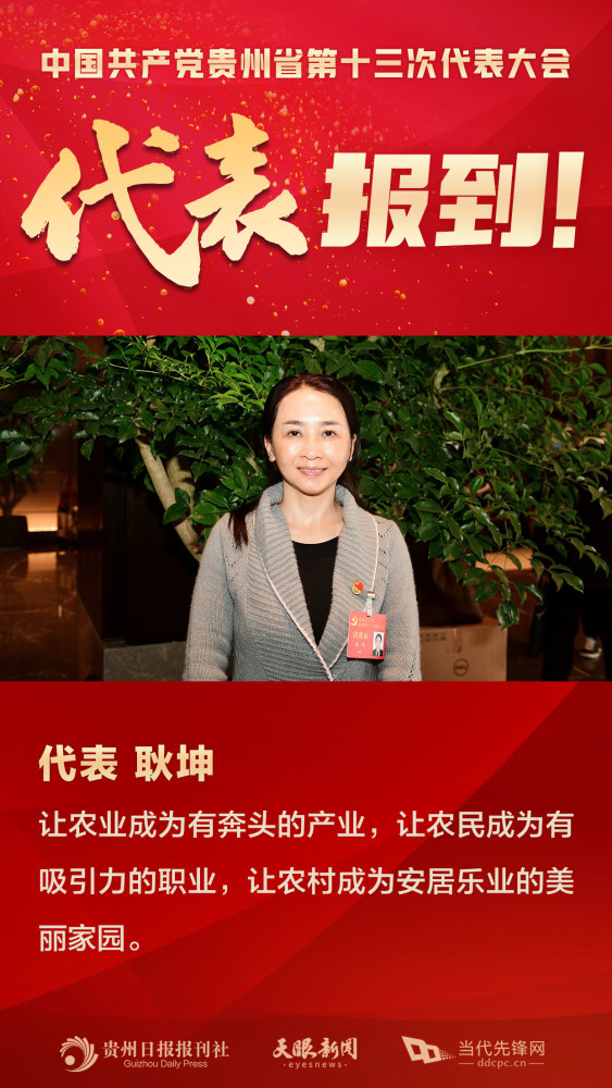 党代会我来了代表耿坤让农业更有奔头