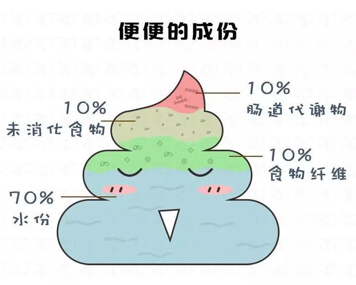 排便次数突然增加什么原因导致的