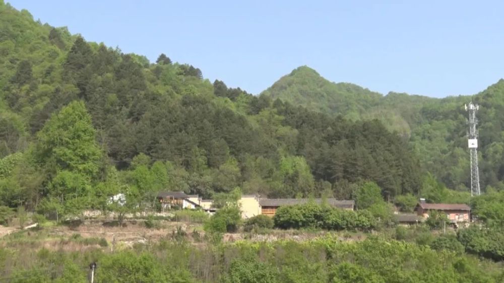 佛坪县岳坝镇岳坝村举行采风写生基地授牌仪式