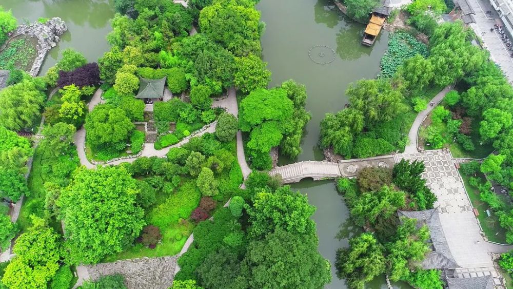 杉青水秀,田园如诗纵棹园景色美,空气鲜,鸟儿唱着歌在宝应湖国家湿地