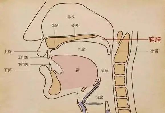 配音怎么学习"口腔没打开 吐字不清晰?