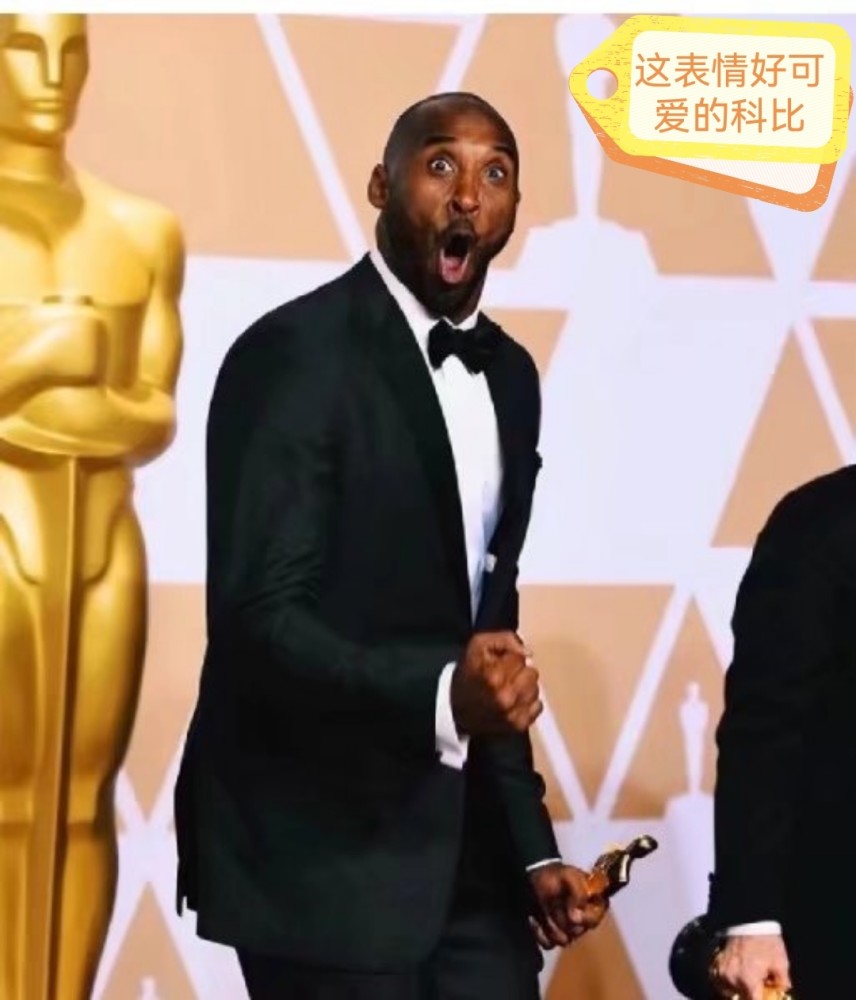多样化的科比图片