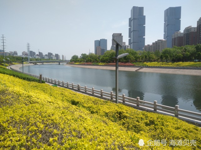 郑州七里河风光旖旎