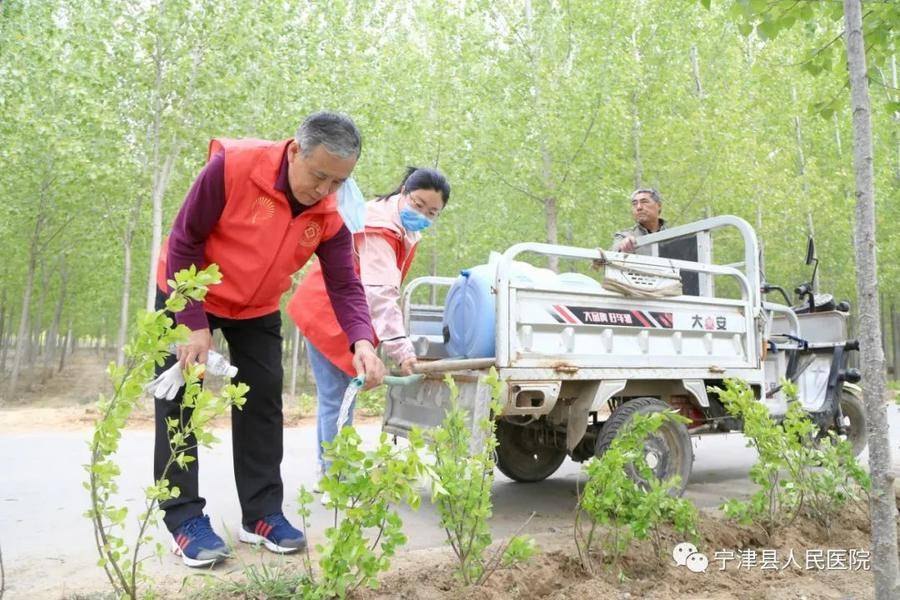 宁津县人民医院环境整治正当时增绿添彩助振兴