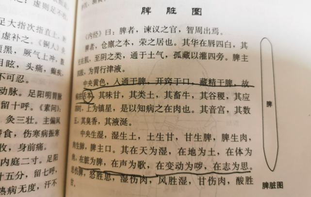 《内经》曰:脾者,谏议之官,智周出焉.