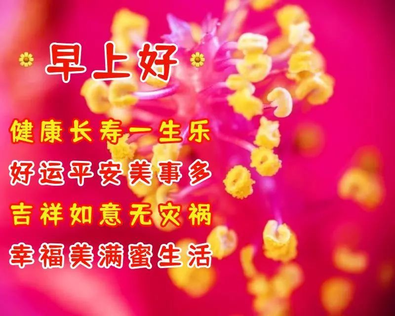 早上好图片问候温暖祝福语 温暖早安带字图片大全_腾讯新闻