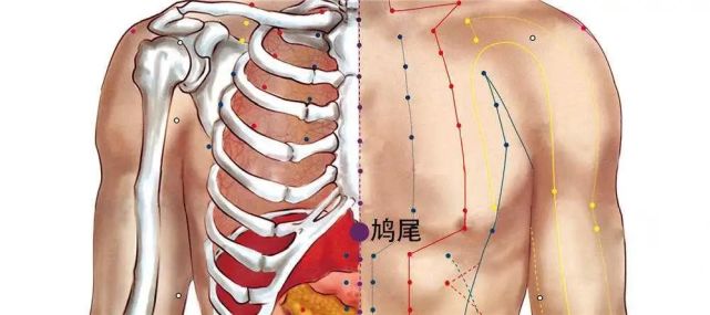 鸠尾穴消除疲劳治晕车晕船