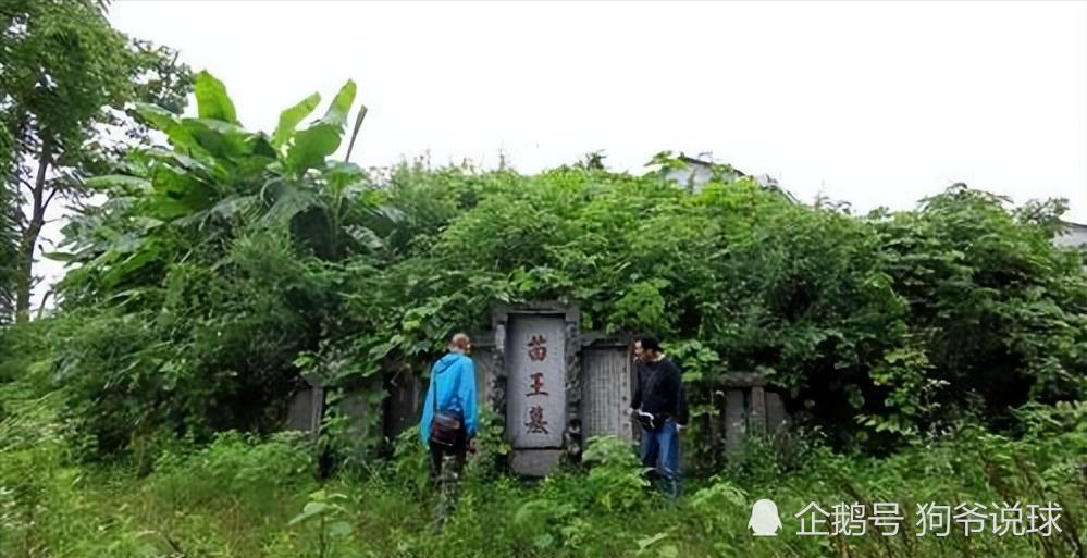 贵州发现苗王墓墓边不仅有巨蛇保护棺木还在河面上漂浮