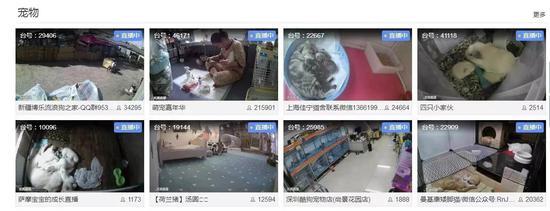 連內衣店、按摩館都被大量直播 畫面讓人心驚
