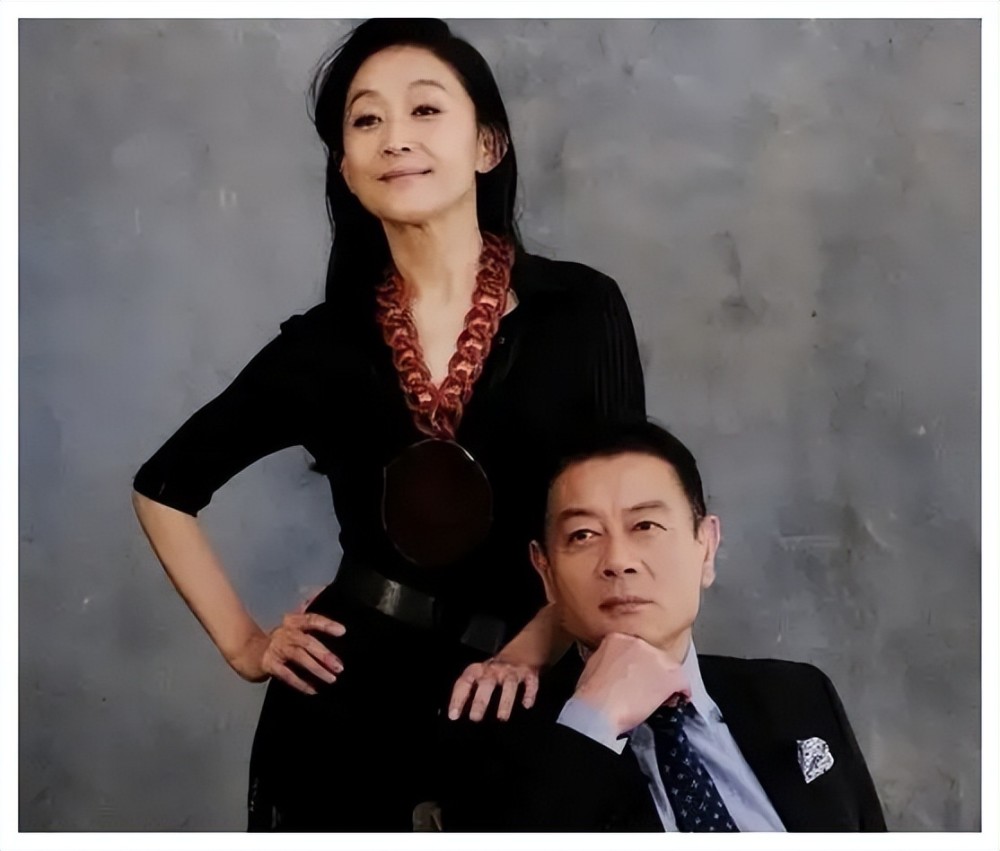 与哥哥约定一生不婚不育20年后陈瑾和巫刚有了新故事