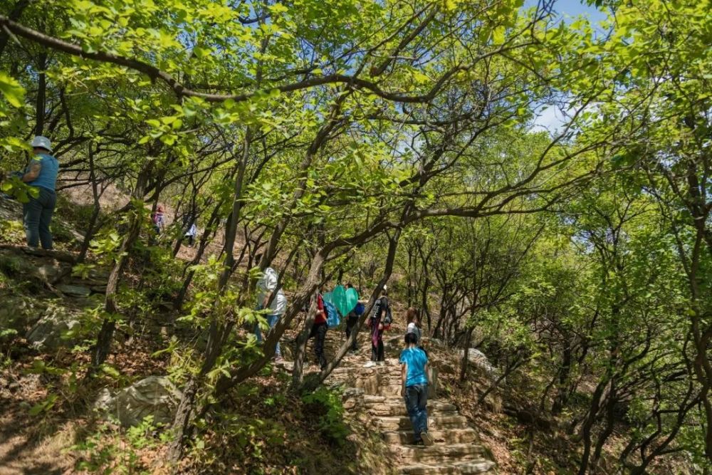 隐居乡里x望山学院steam跨学科日间营野外生存地理科考