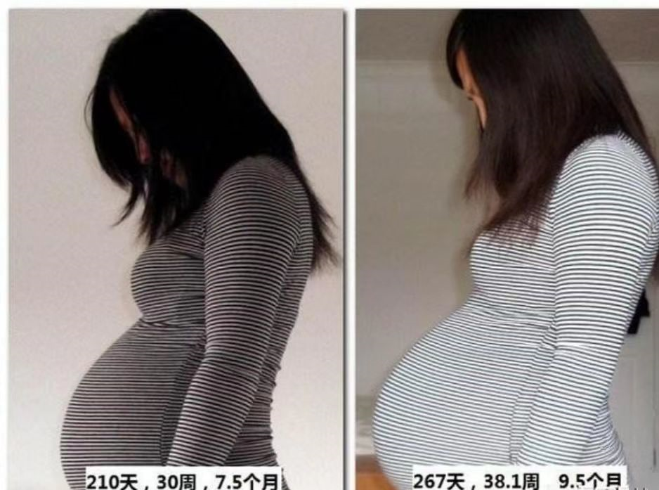 孕妇怀孕几个月肚子才会显怀怀孕是显怀好还是不显怀好4点孕妇早知道