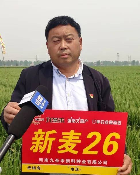 多地走访优质高产又增收新麦26新麦35屡获好评圈粉无数