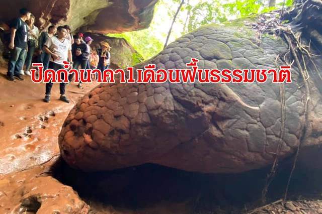 泰国汶干府热门祈福地娜迦洞将关闭1个月修复生态