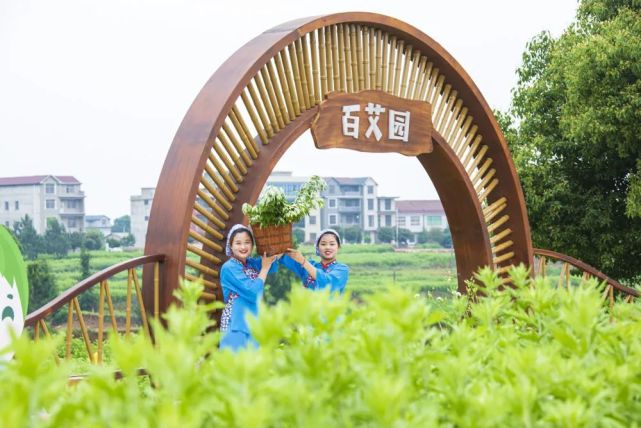 刘畊宏《本草纲目》诞生地蕲春等你来