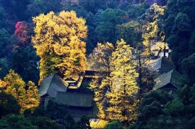 典籍里的大美都江堰｜揭秘你不知道的青城山天师洞～_腾讯新闻
