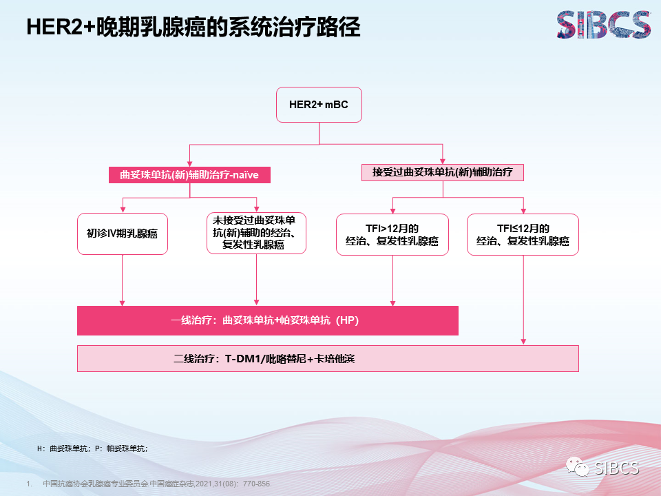 cbcs小红书社区张剑教授解读her2阳性乳腺癌治疗的更新变化