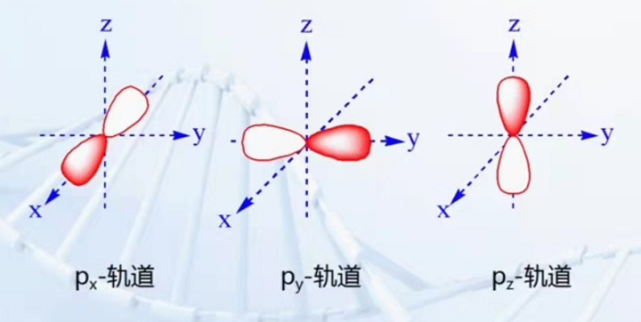 同理我们也可以推出d轨道总共有5中:剩下的情况依次类推就可以得到.