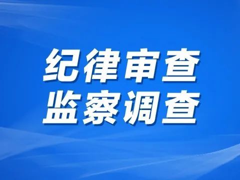 外媒:中纪委“自家宝博人”陆续被查 两个月内三名官员落马(1)