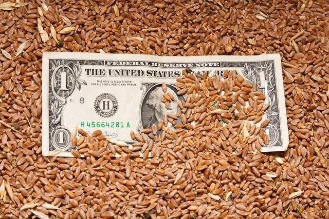 阿根廷考虑收紧小麦出口禁令或引发全球粮价进一步上涨(图)