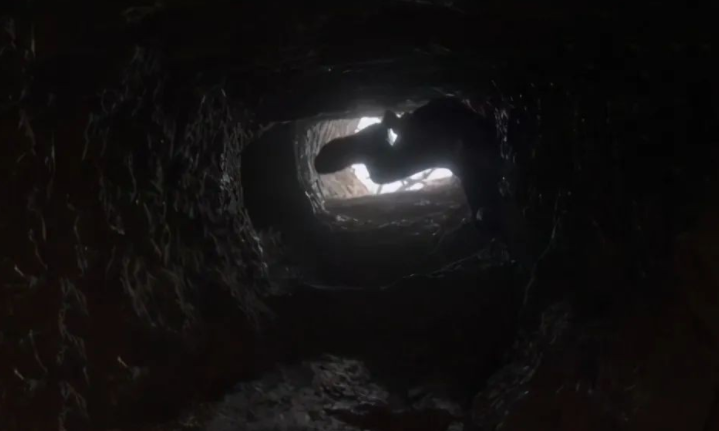 看两三米高的土堆,再看不远处的锄头和八宝粥,最后再看枯草上的黑洞洞