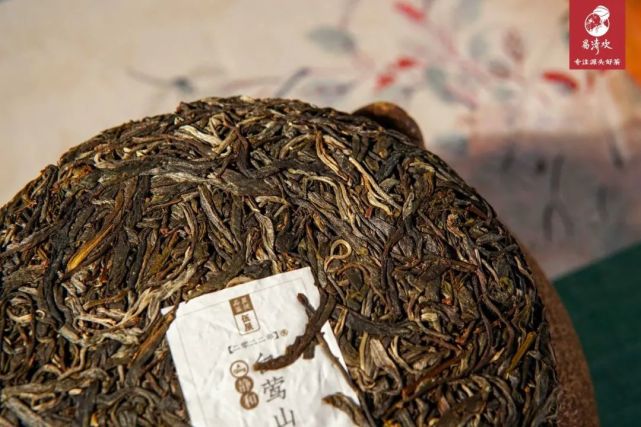 2022年白莺山古树茶丨透过茶汤"探访"佛茶圣地