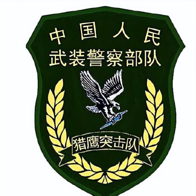 2014年被命名为"猎鹰突击队".