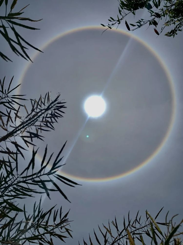 全网刷屏今天的德阳自带光环网友p图大赛又双叒开始了