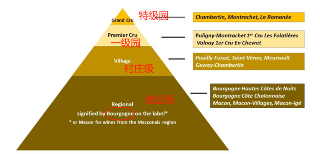 读懂勃艮第酒标,学酒更有乐趣