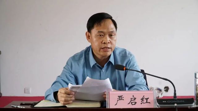 县委书记严启红主持会议并作总结讲话,县委副书记,县