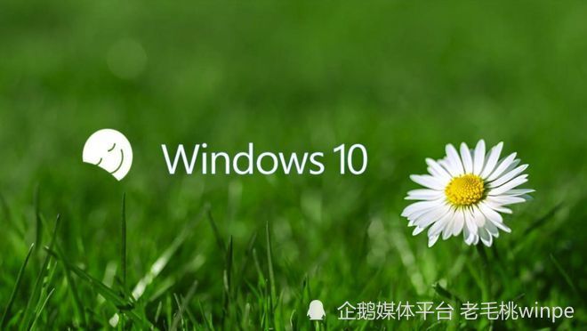 win10关闭这几个功能后我的电脑瞬间好用多了赶紧试试