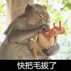 只是在今年的五一假期之前,万万没想到,铁公鸡也能拔毛了!