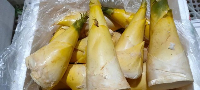 冬笋的食用功效及几种做法