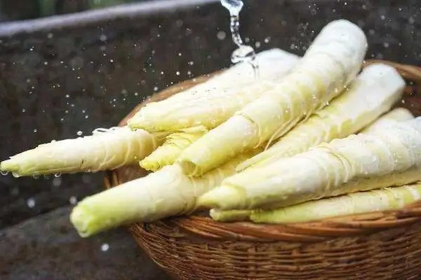 冬笋的食用功效及几种做法