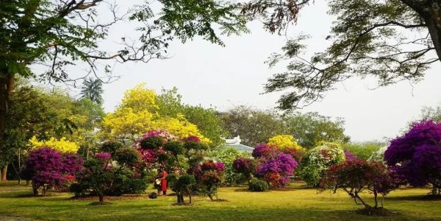 当然首当其冲西双版纳热带花卉园位于景洪市城区内的说到赏花西双版纳