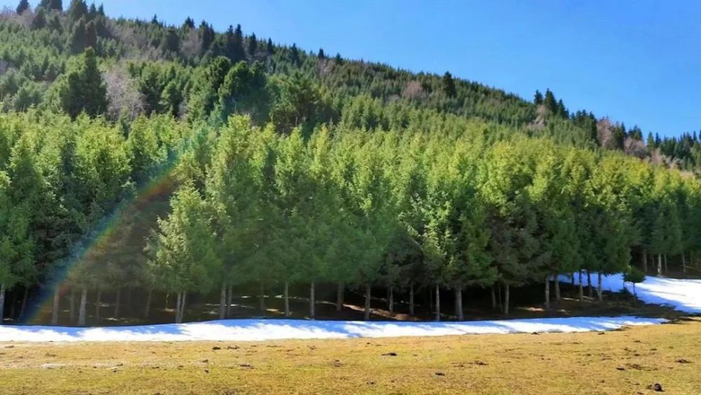 的积雪已消融,山上厚厚的积雪开始融化,汇成涓涓溪流灌溉着广袤的草原