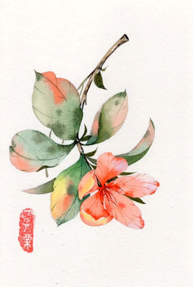 小清新水彩花卉,果子,画师子栗水彩676767