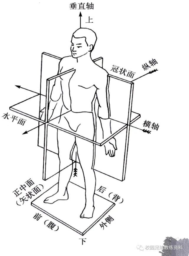 人体三轴三面