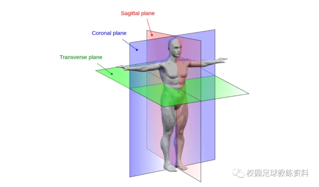 人体三轴三面