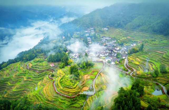 这个五一就在龙泉,去浙江海拔最高的小镇寻治愈系风景!