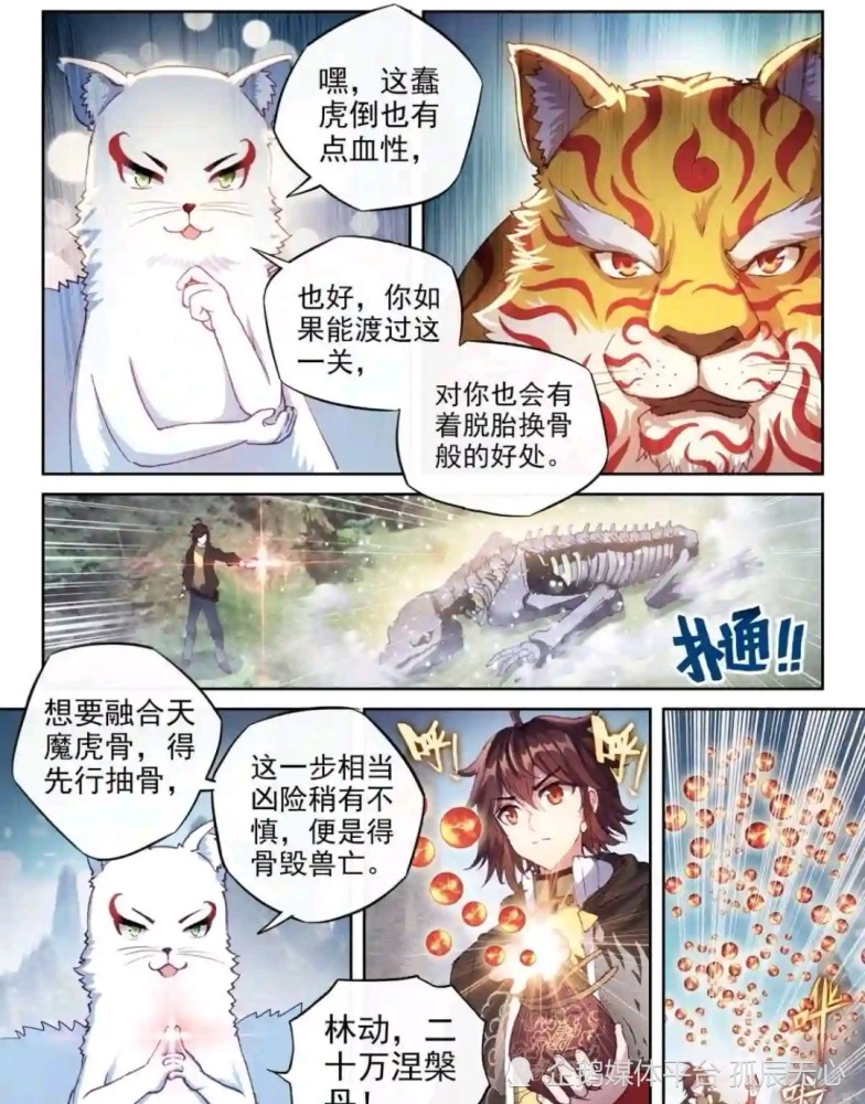 武动乾坤两大王朝撤退暗渊虎族炼体武学成功换取天魔虎骨小炎开始换骨