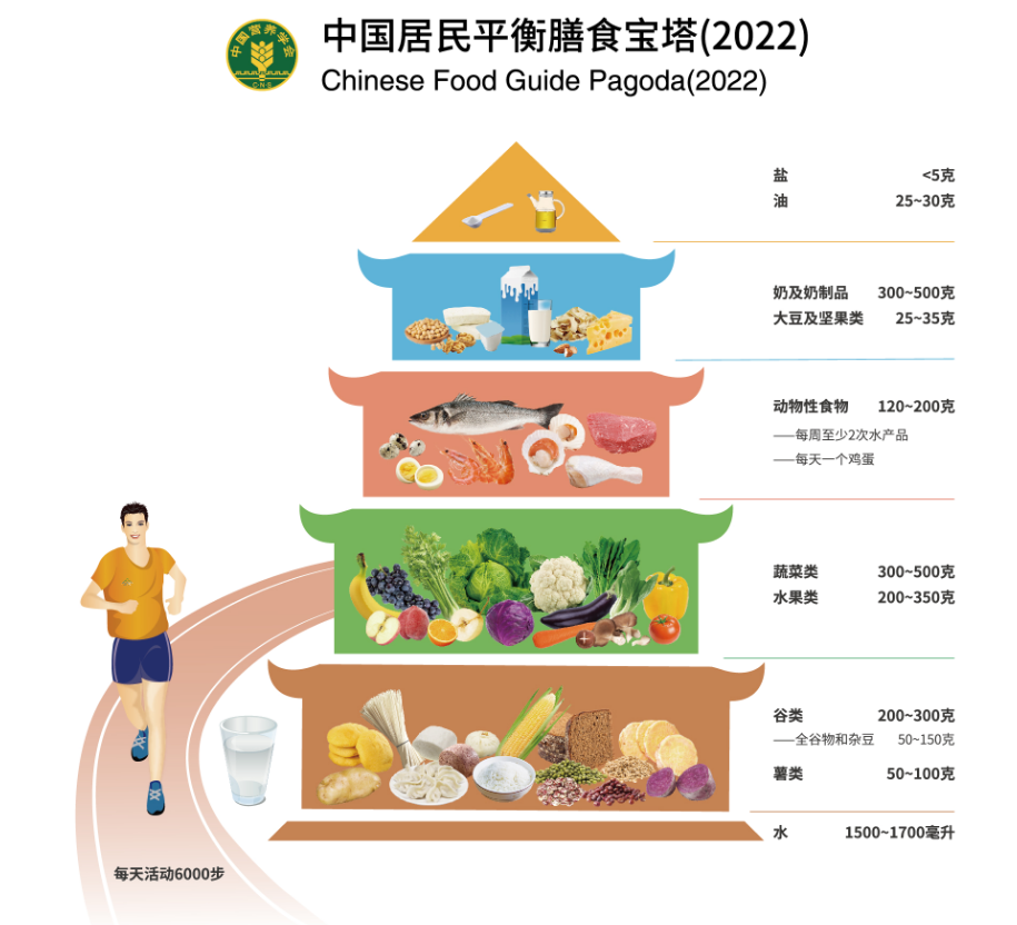 中国居民膳食指南2022发布一起了解最新的中国居民平衡膳食宝塔