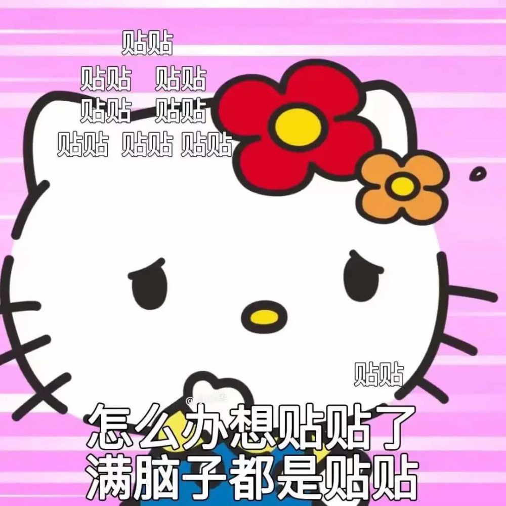 表情包满脑子只有抱抱贴贴