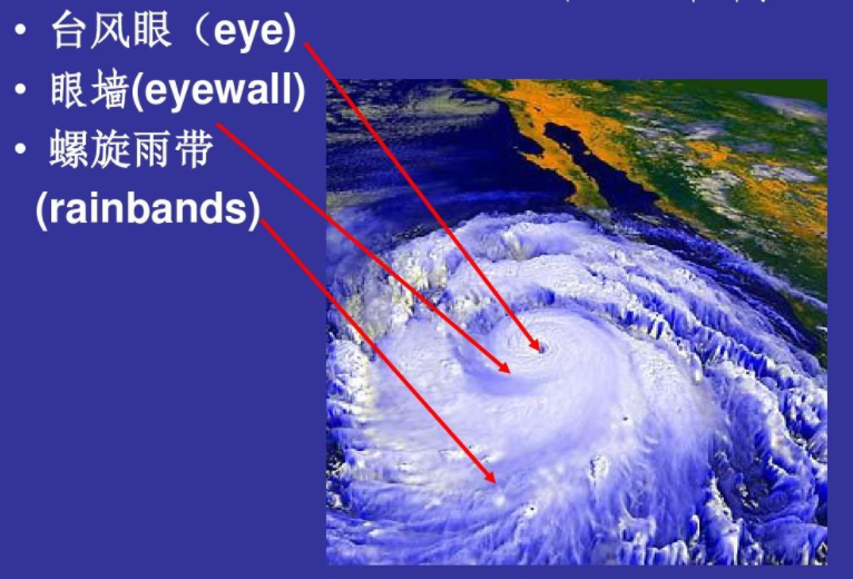 台风在结构上可以分为风眼区,云墙区和螺旋雨带区,整个台风的范围可达
